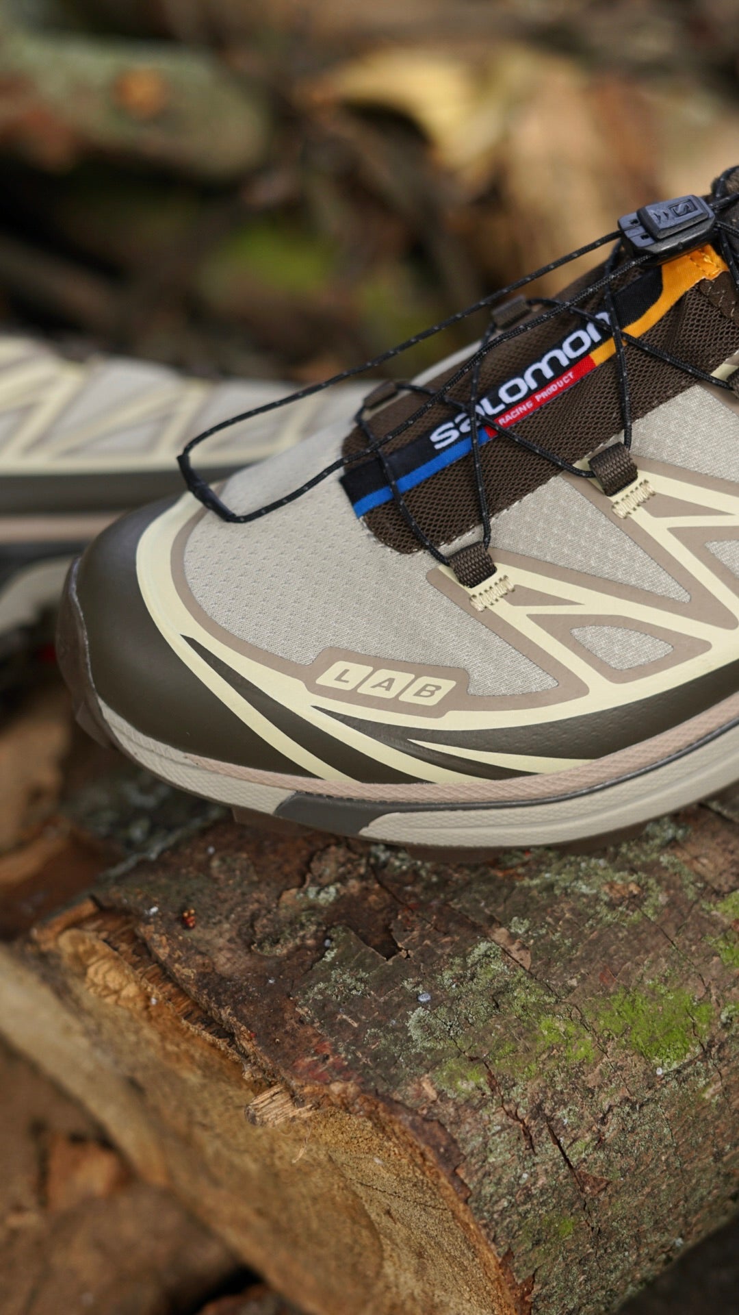 Salomon