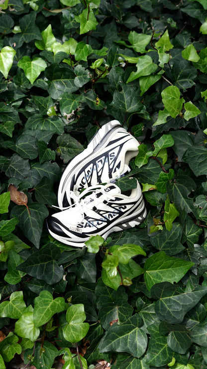 Salomon xt mm6