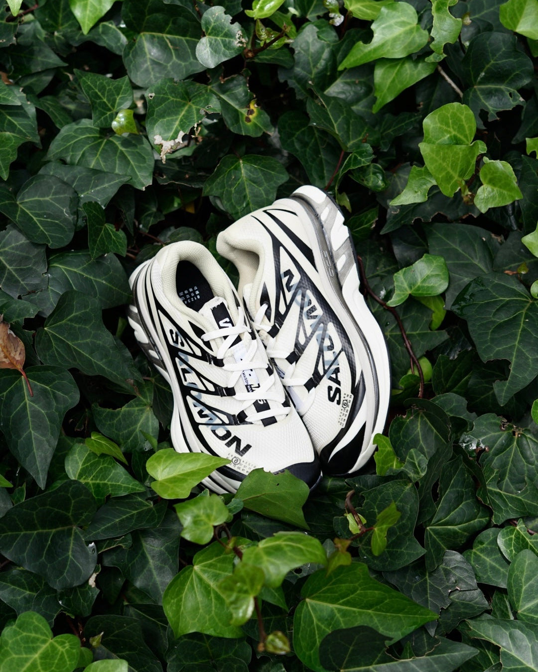 Salomon xt mm6