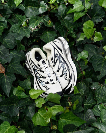 Salomon xt mm6