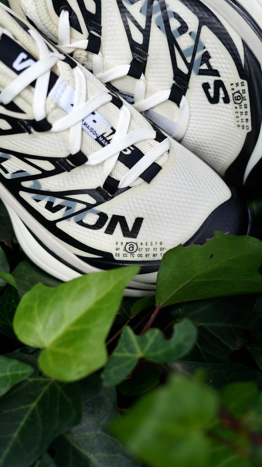 Salomon xt mm6