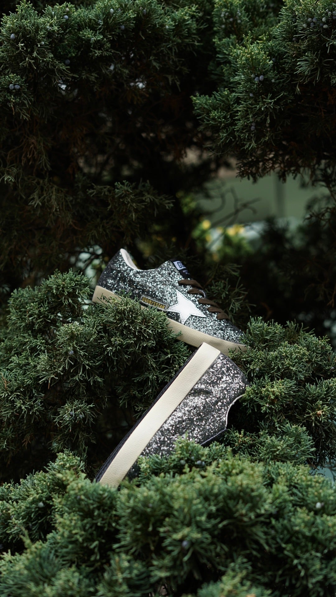 Golden Goose