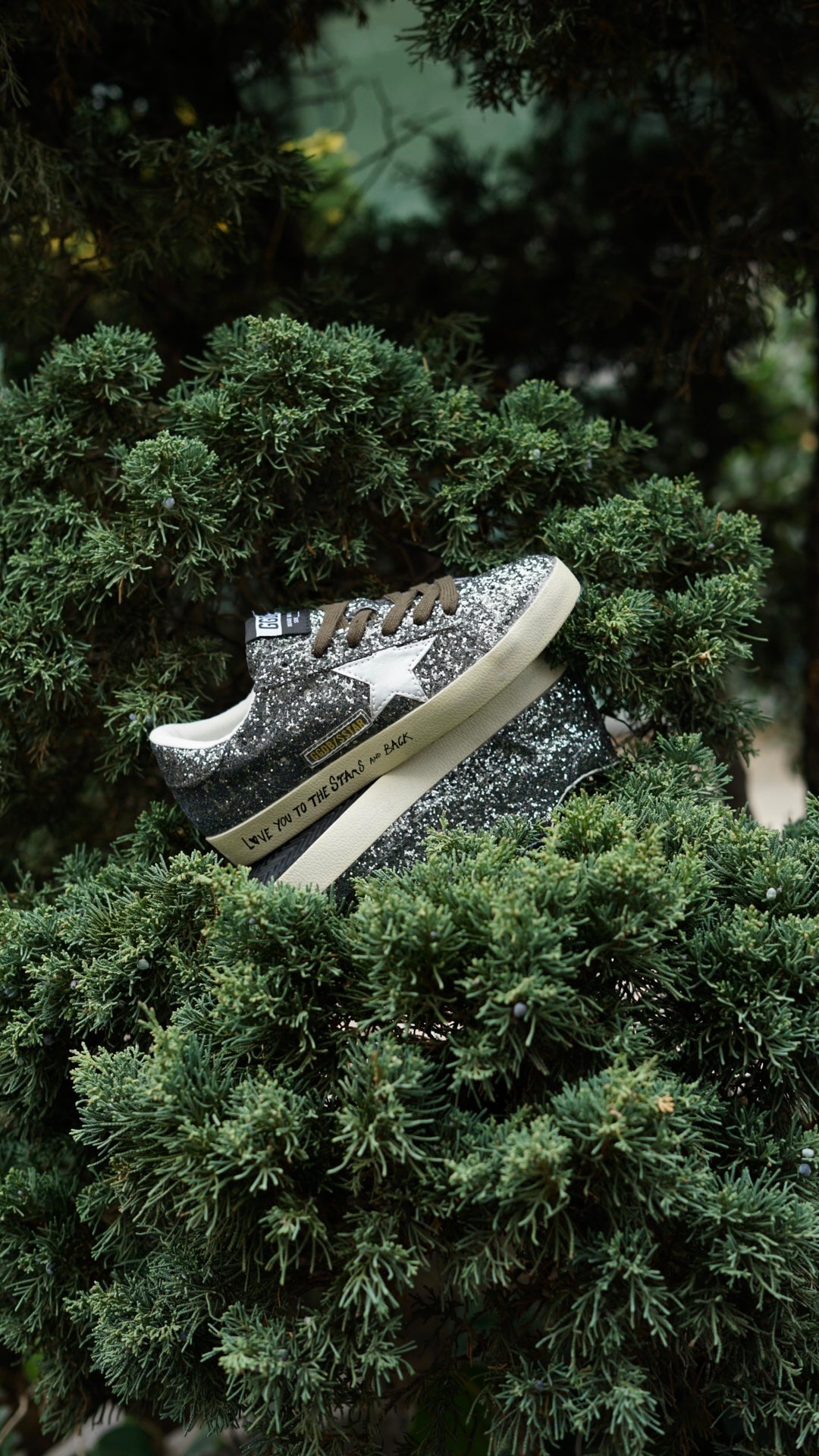 Golden Goose