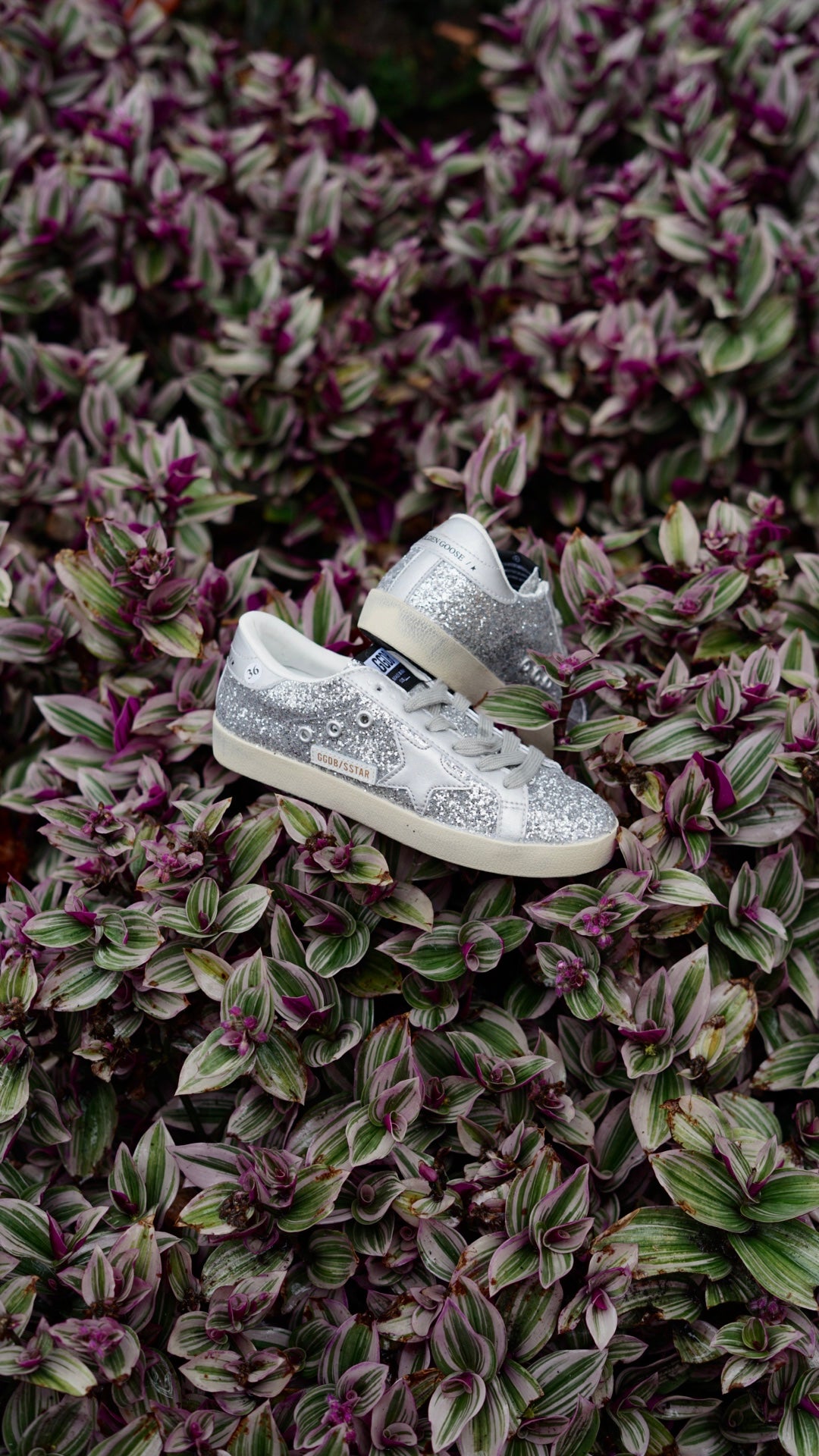 Golden Goose