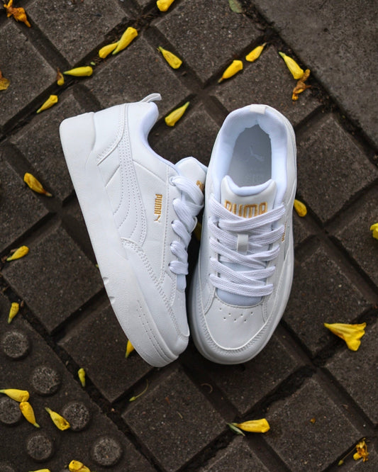 Puma Park Blanca