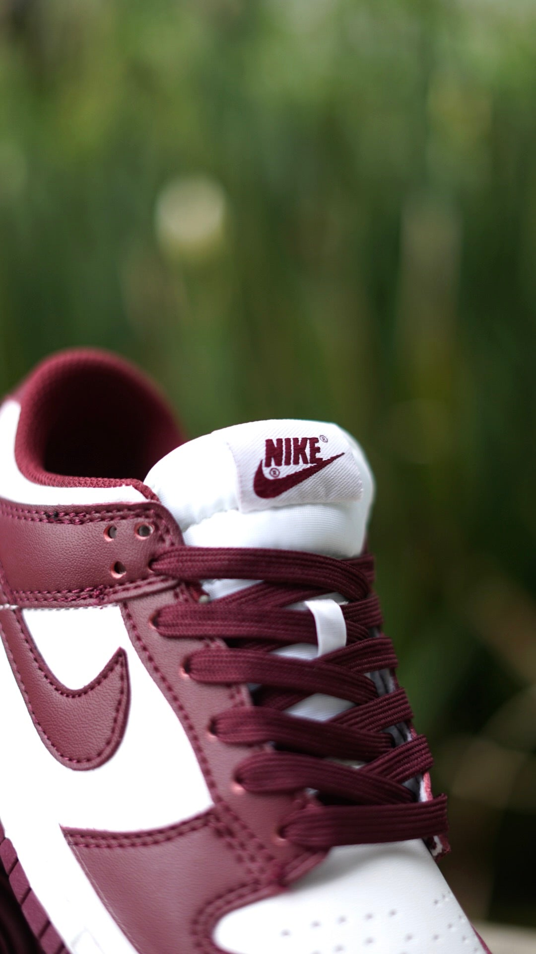 Nike sb duck low vinotinto