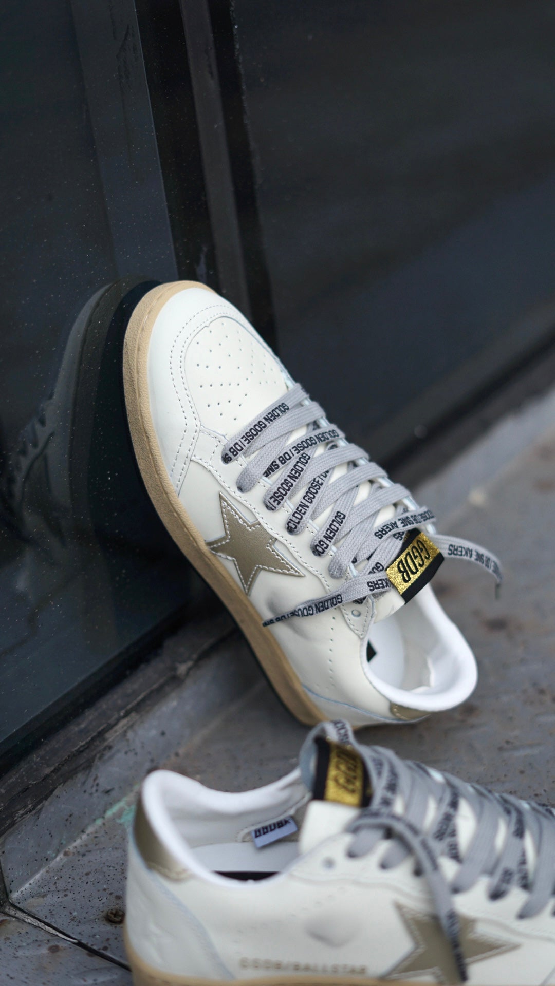 Golden Goose
