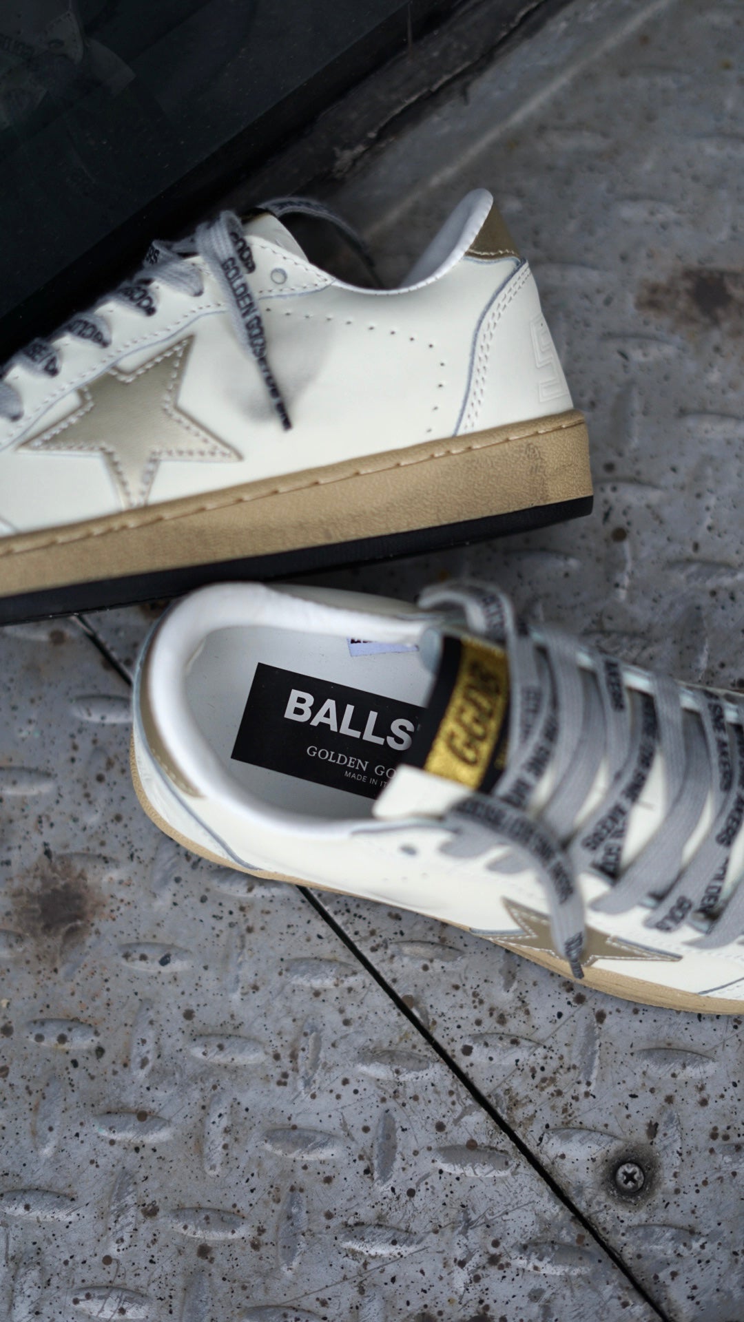 Golden Goose
