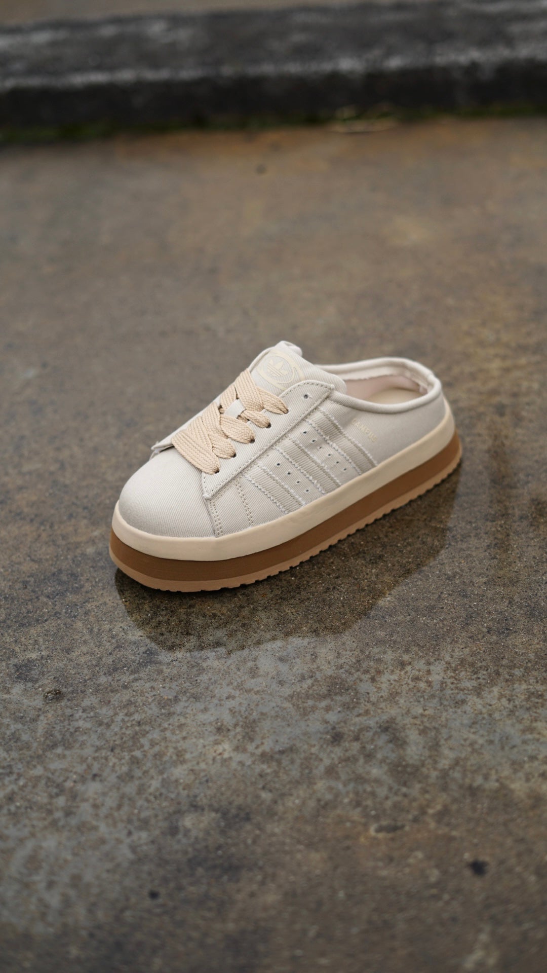 adidas campus beige