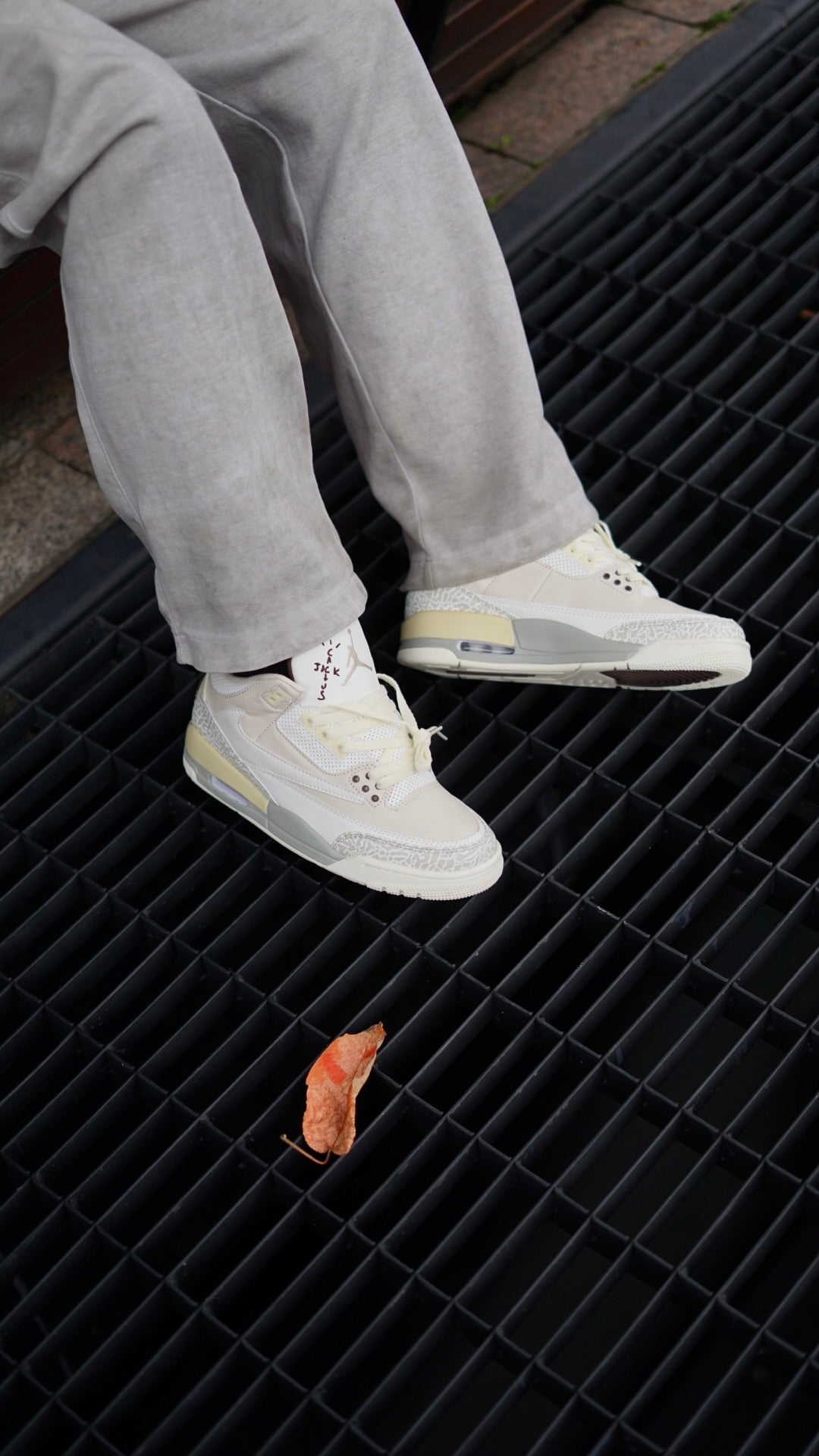 Jordan R3 travis