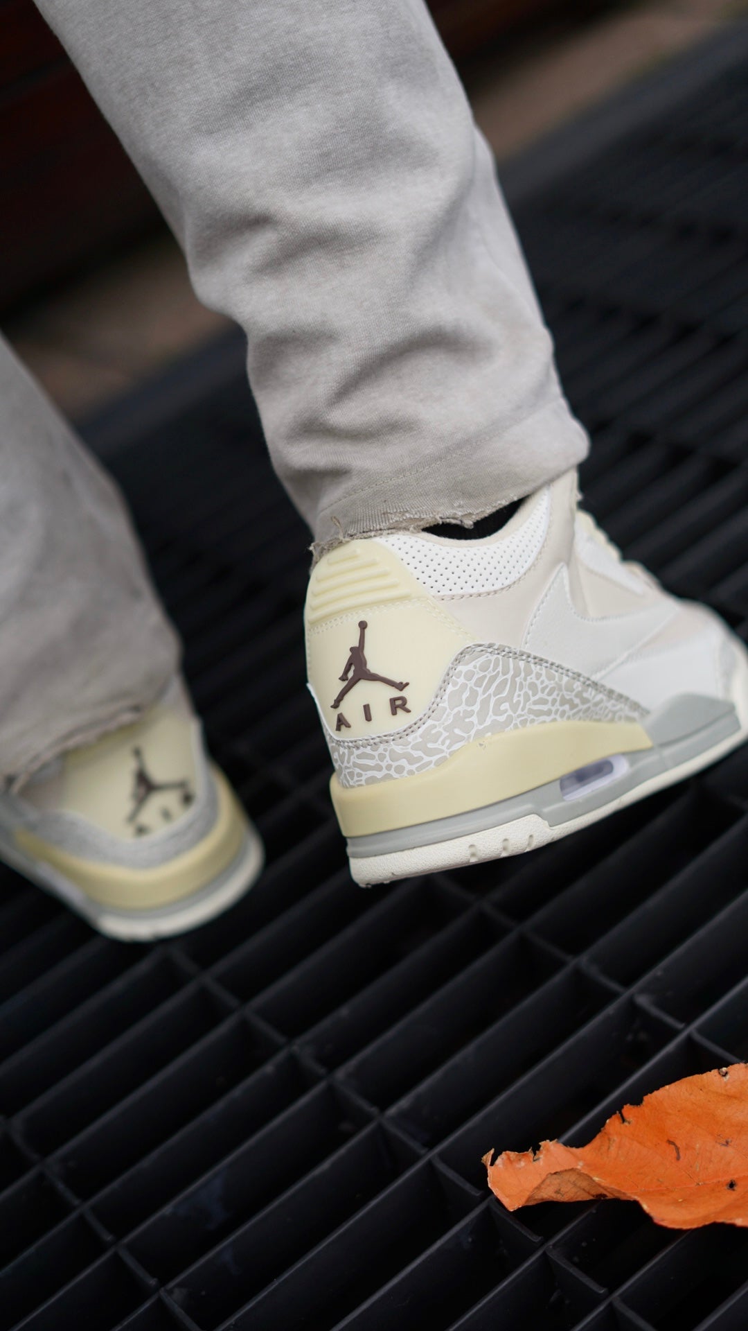 Jordan R3 travis