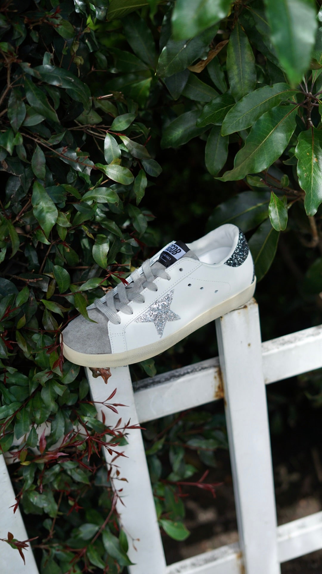 Golden goose beige gris