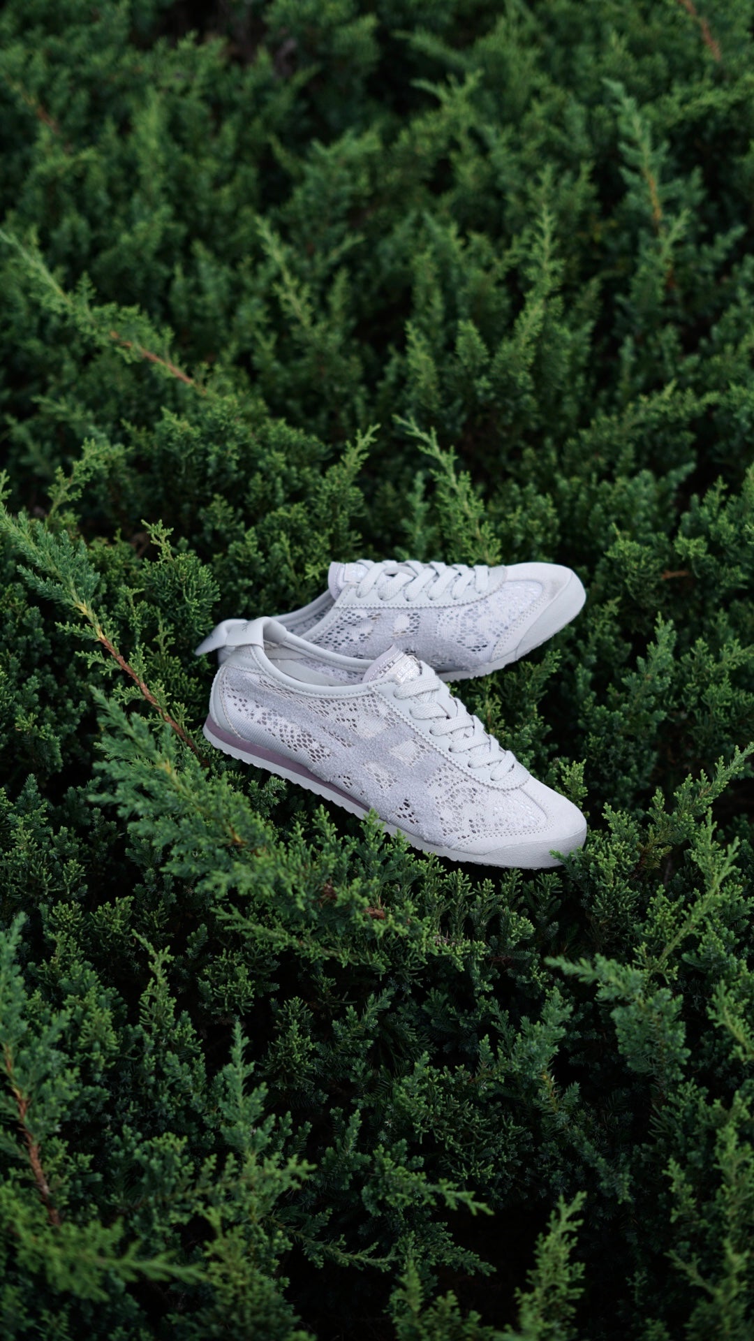 Asicts tiger gris
