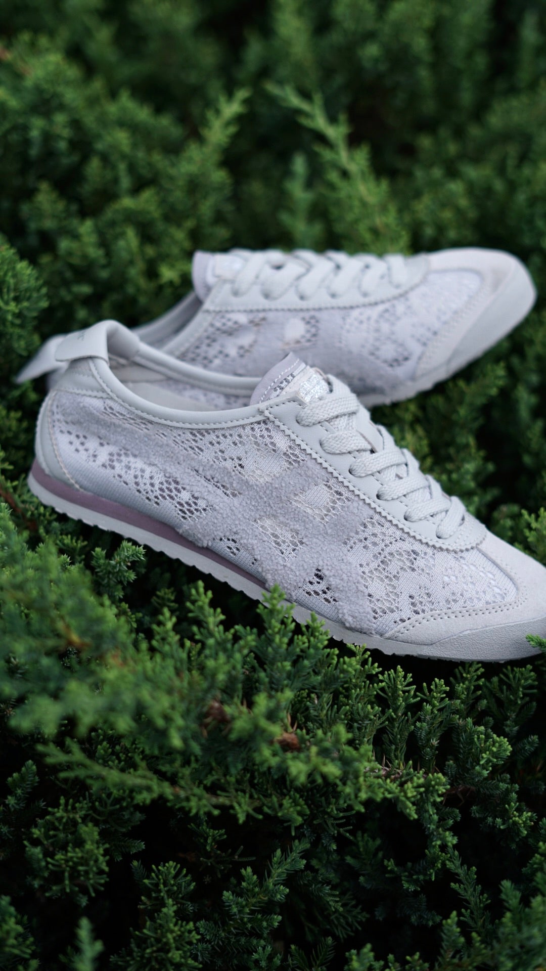 Asicts tiger gris