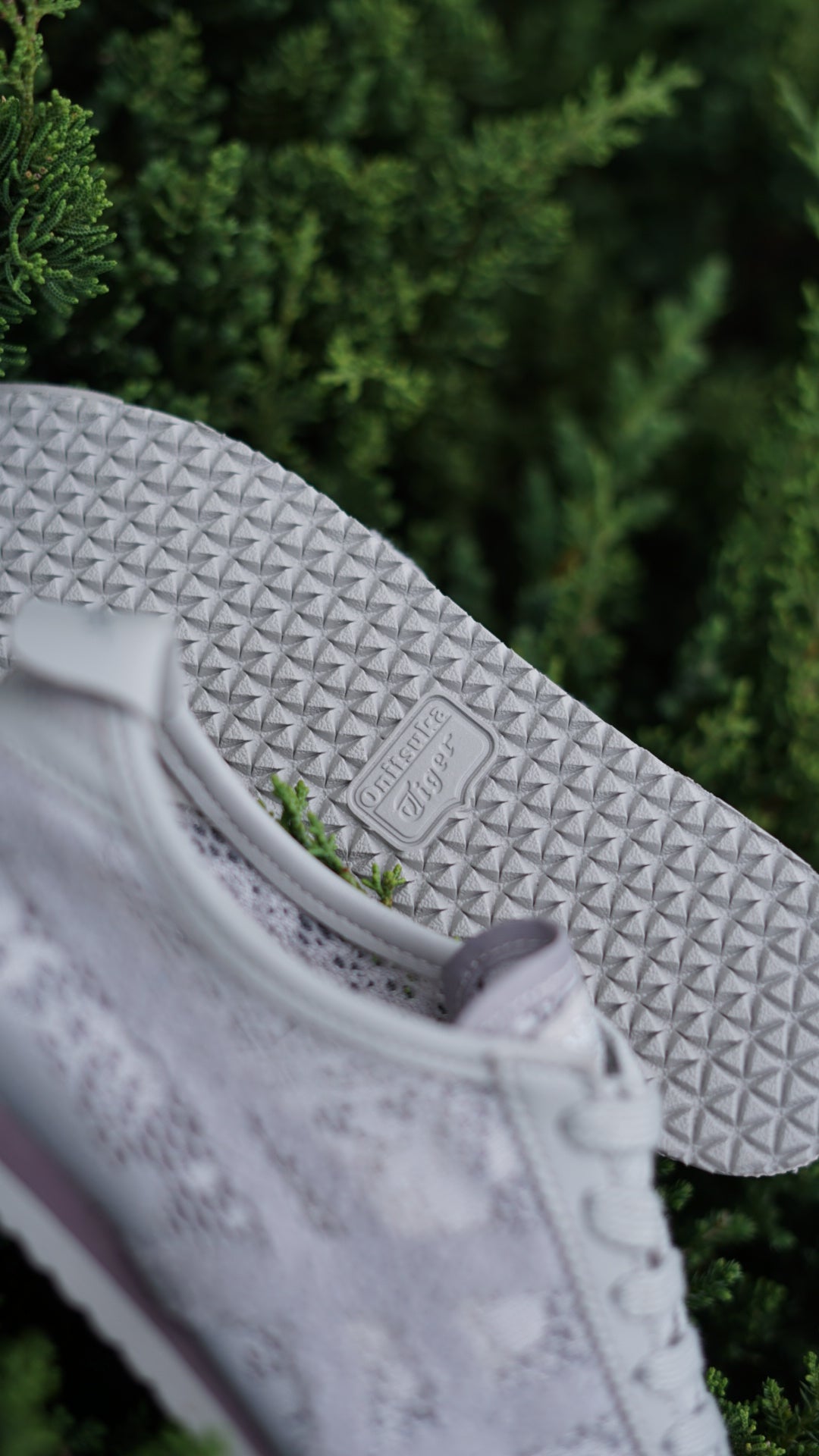Asicts tiger gris