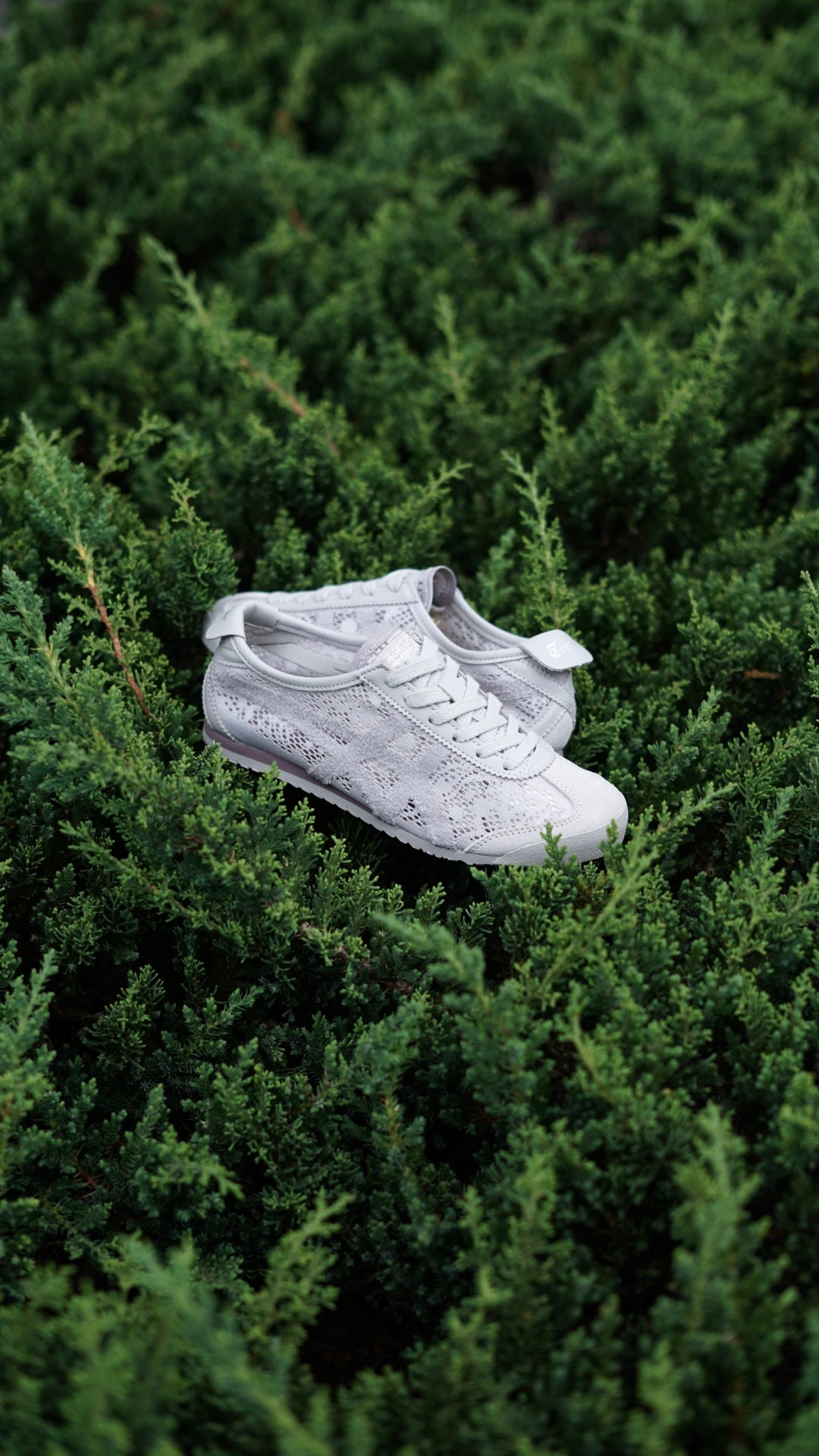 Asicts tiger gris