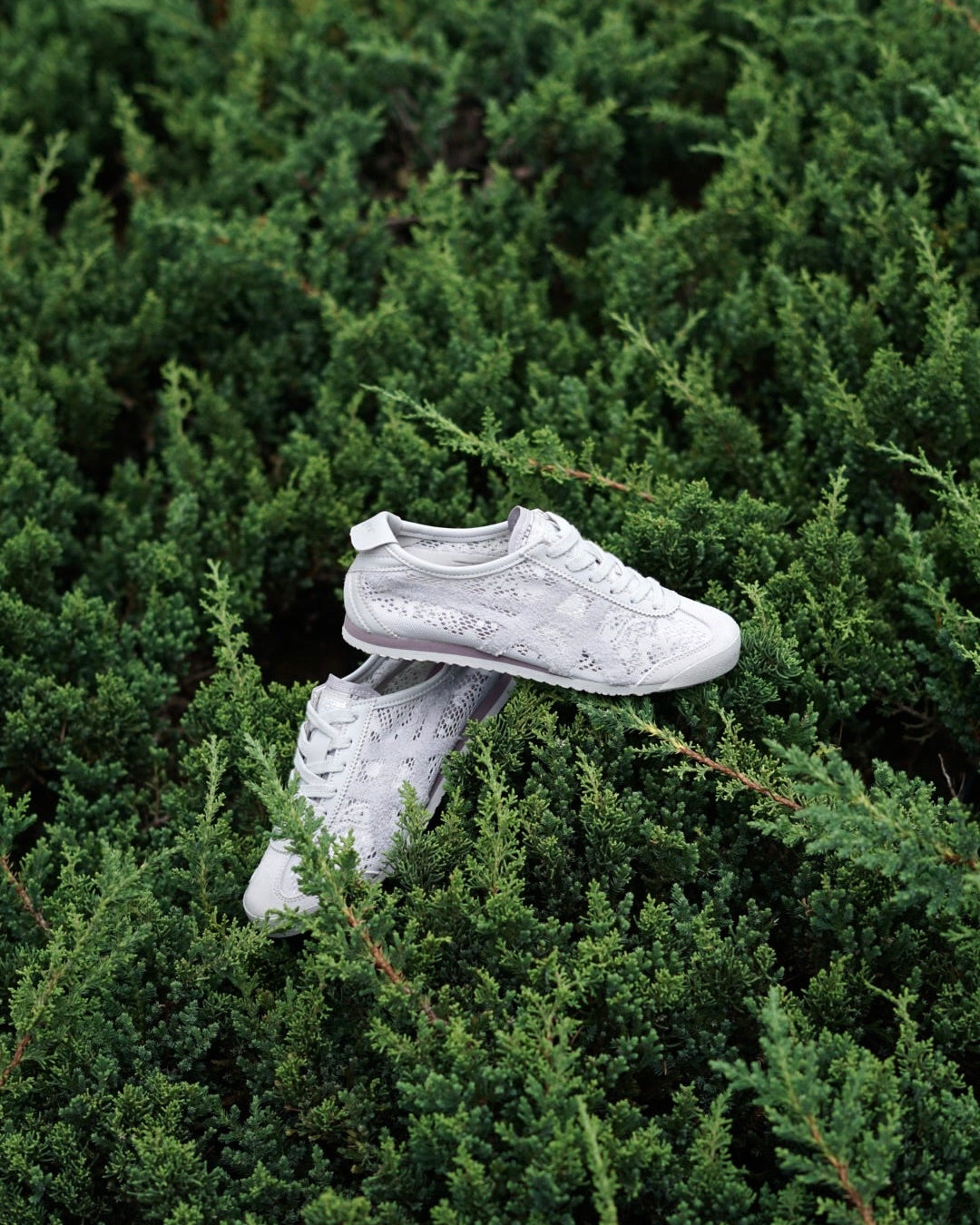 Asicts tiger gris