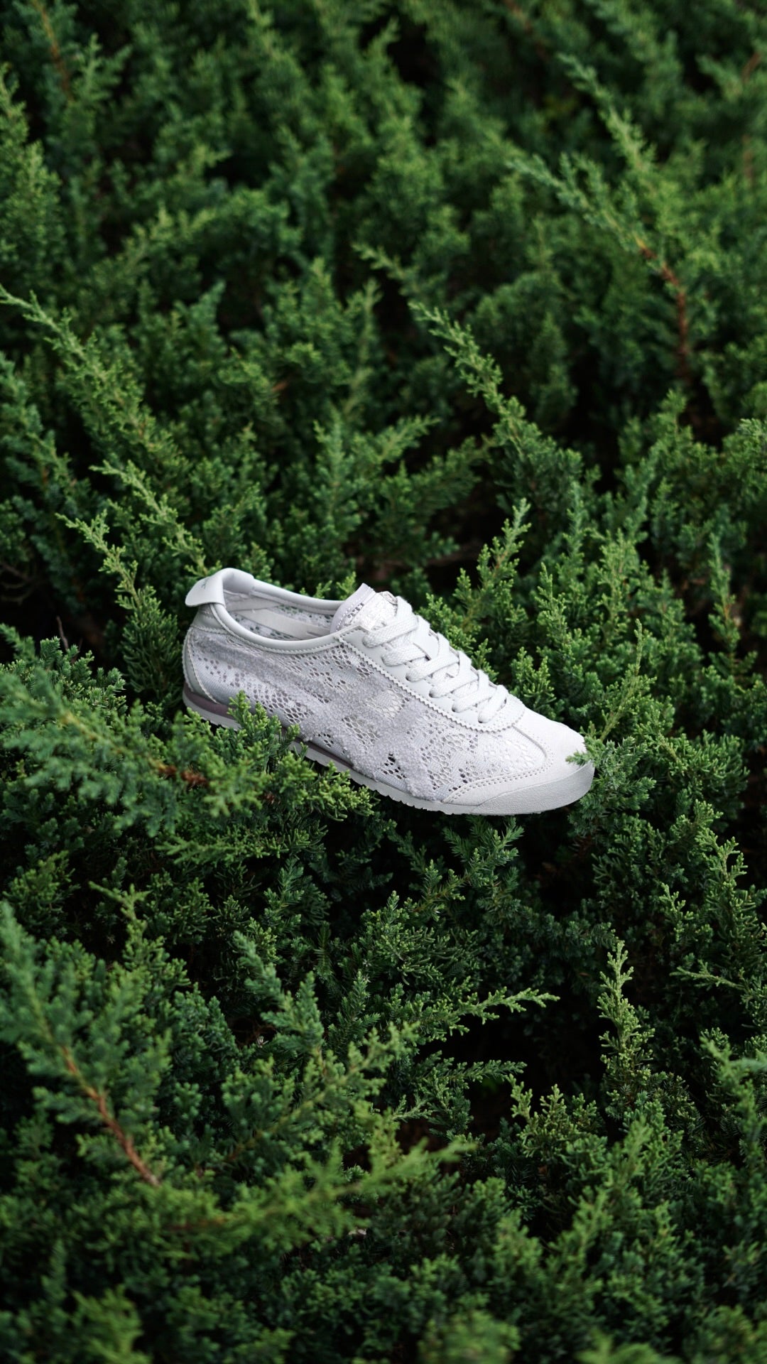 Asicts tiger gris