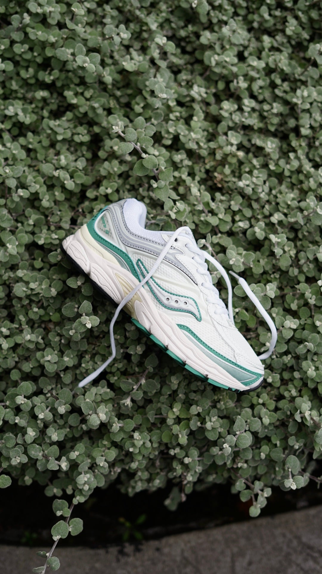 Saucony progrid omni 9