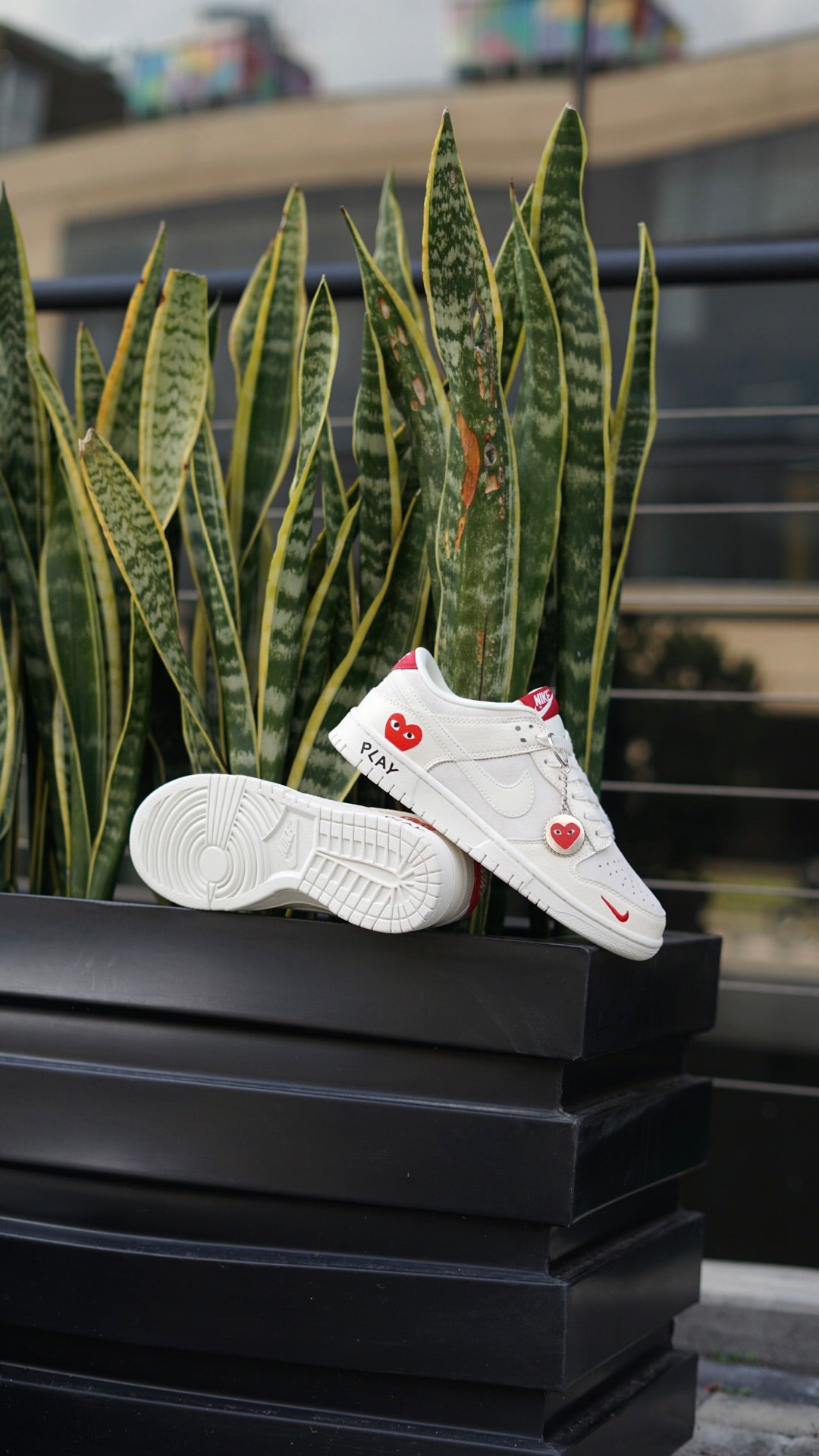 Nike sb dunk low x comme des garcons