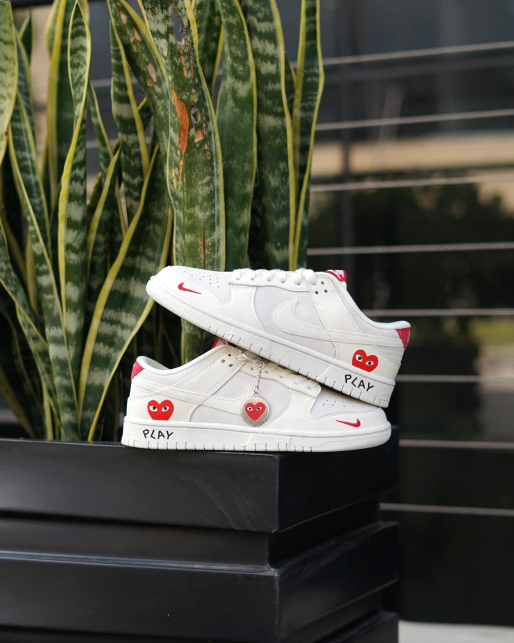 Nike sb dunk low x comme des garcons