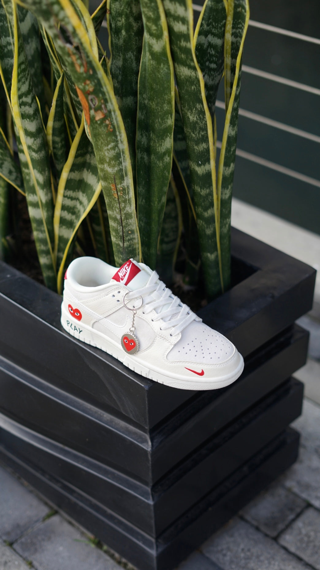 Nike sb dunk low x comme des garcons