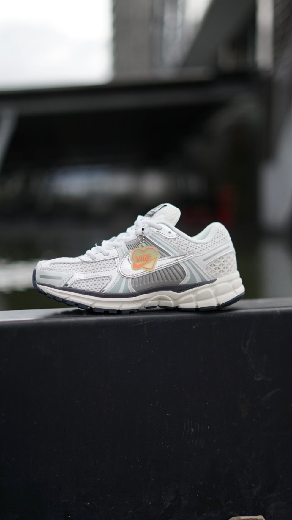 Zoom Vomero 5 Plateado