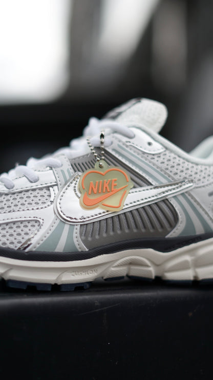 Zoom Vomero 5 Plateado