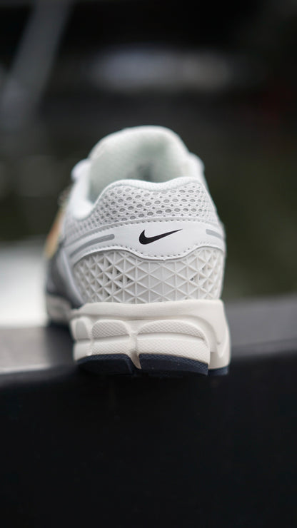 Zoom Vomero 5 Plateado