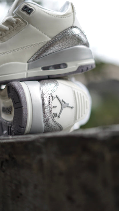 Air Jordan Retro 3 Plateada