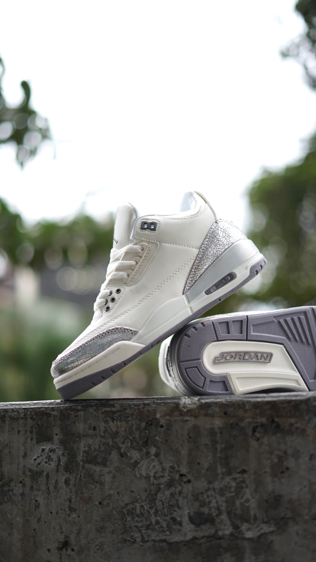 Air Jordan Retro 3 Plateada