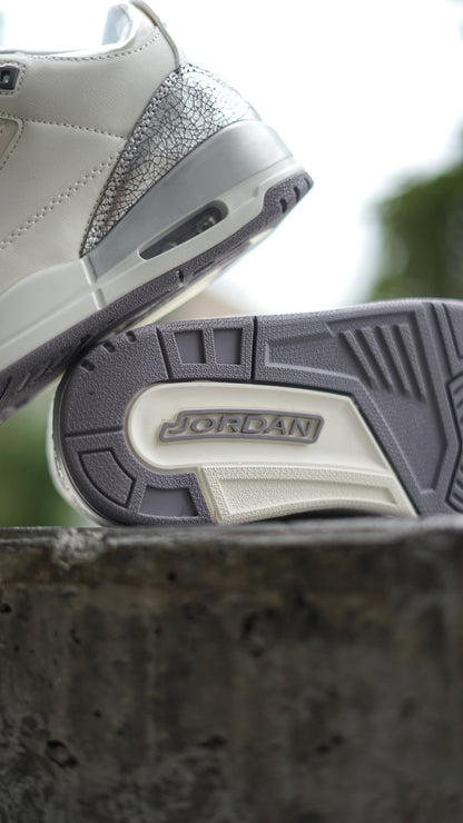 Air Jordan Retro 3 Plateada