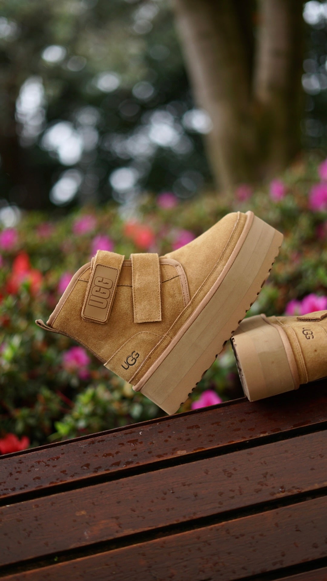 Ugg Bota