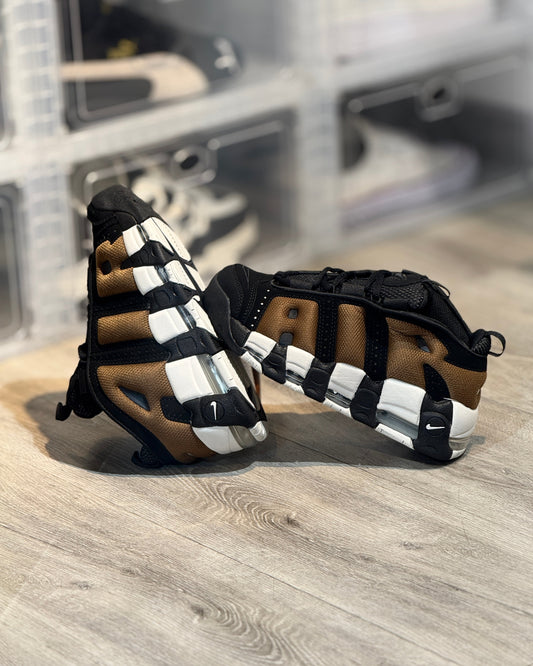 Air More Uptempo Negro Cafe