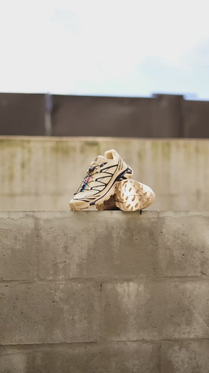 Salomon goretex beige