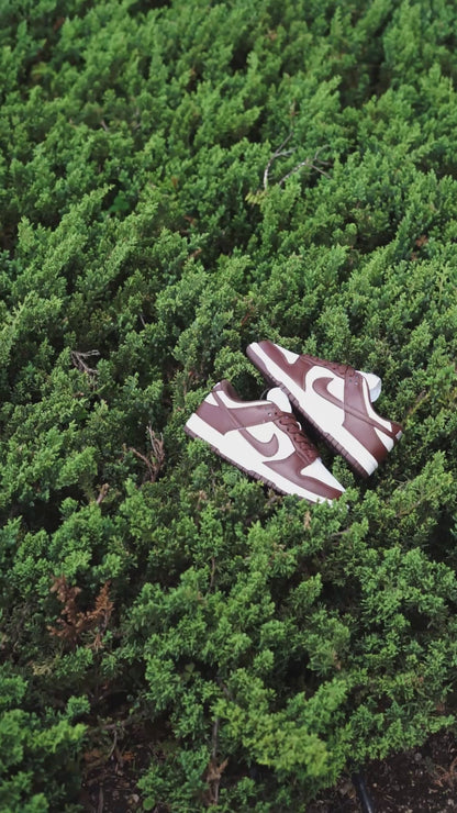 Nike sb dunk low cafe