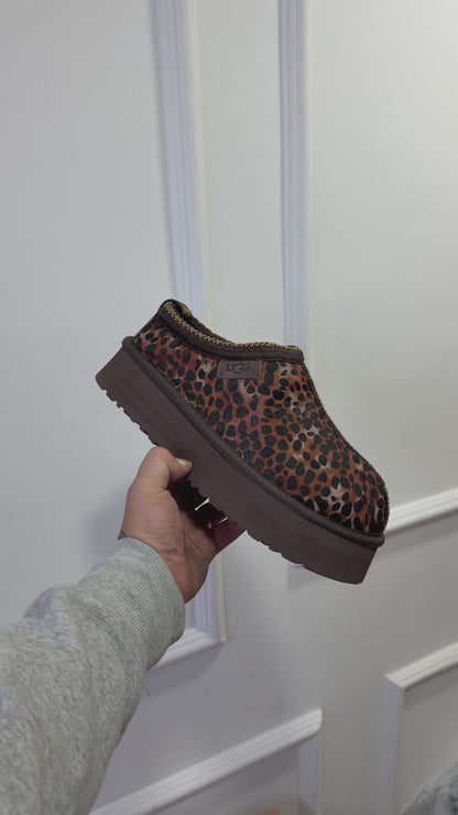 Ugg animal